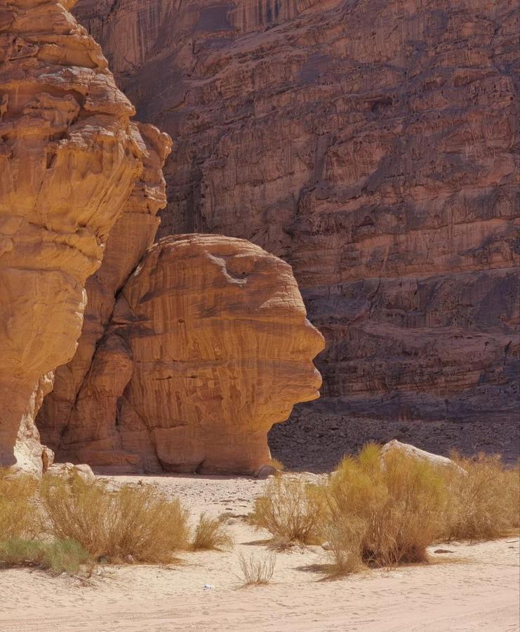 Amanda Luxury Camp Hotel Wadi Rum Exterior photo